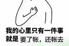 桂平融资清欠服务